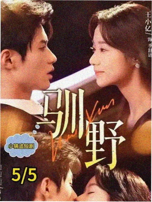 棚内春秋 剧集专栏节目单封面